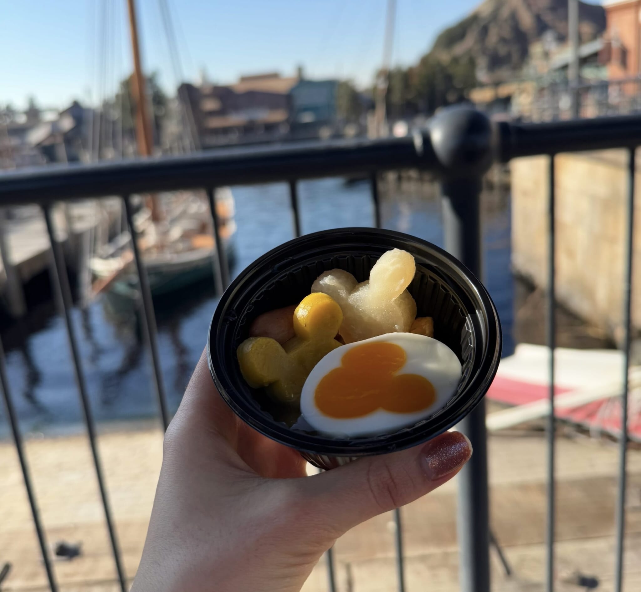 oden at disneysea