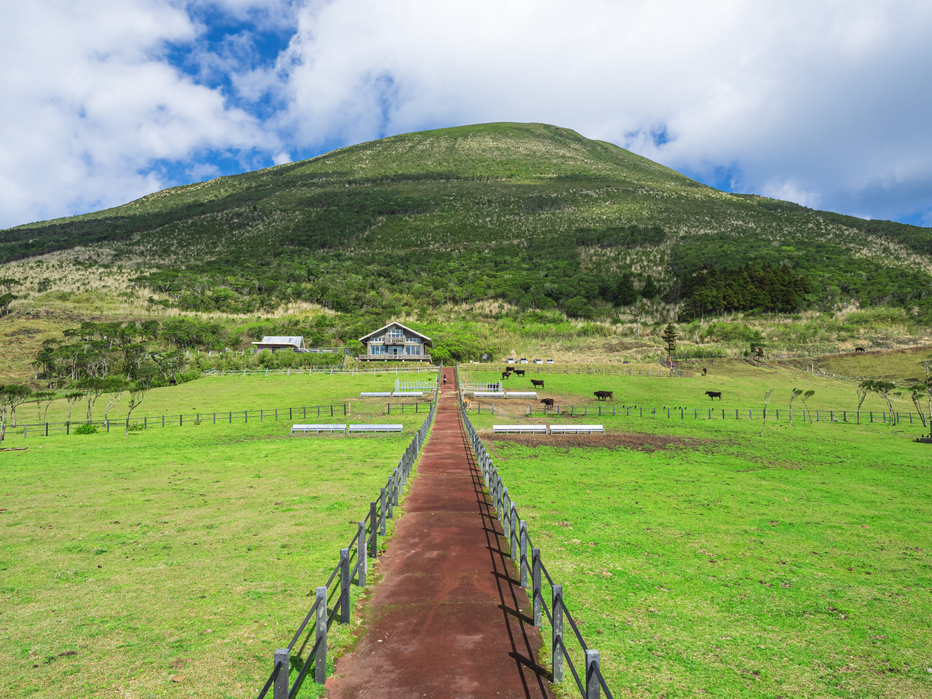 Hachijo Fuji Hachijojima 