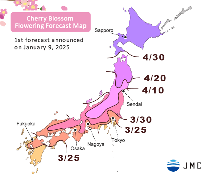 cherry blossom Japan 2025 april march