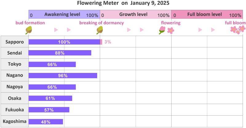 japan cherry blossom 2025