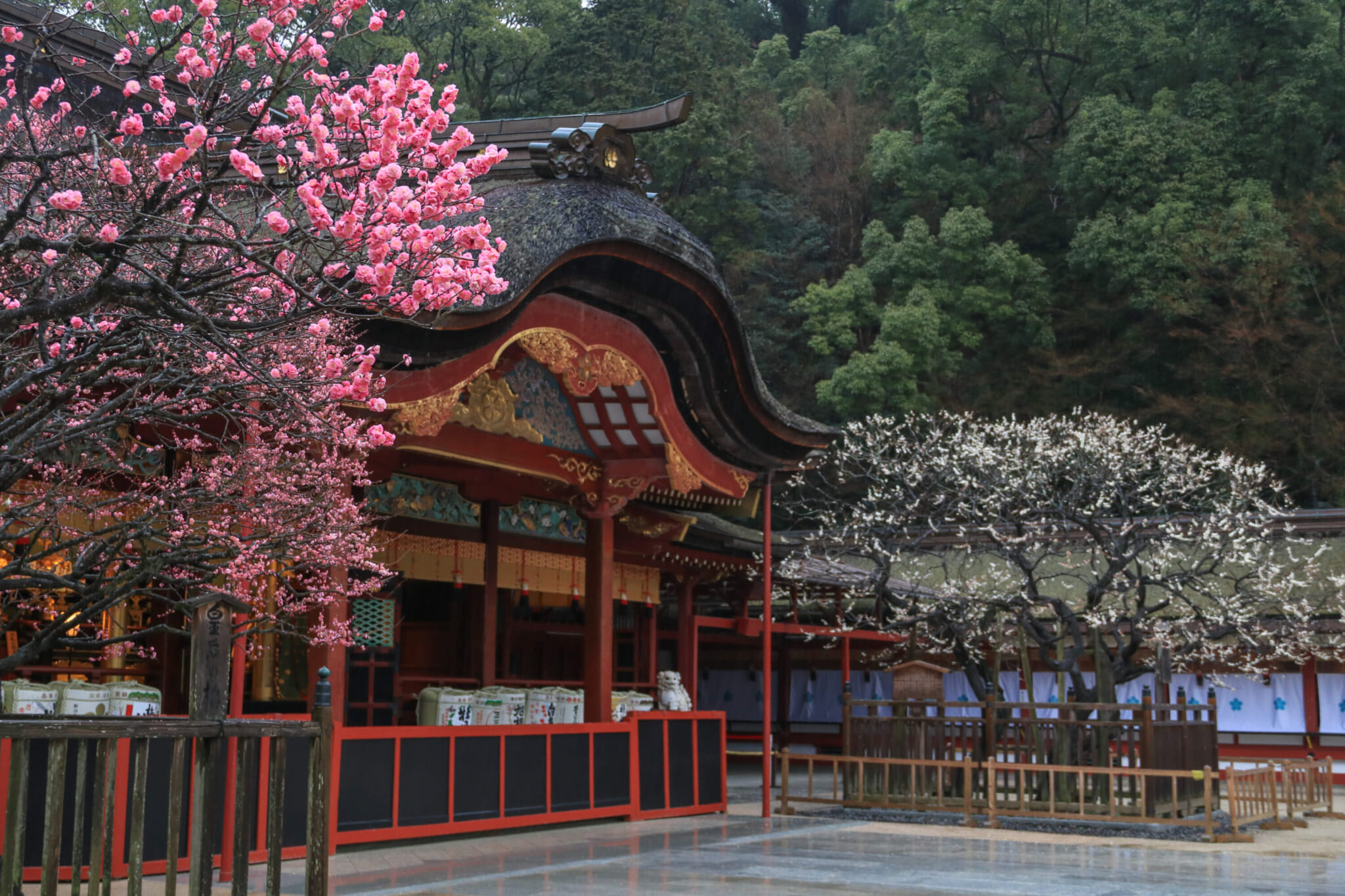 dazaifu tenmangu famous tanka poems