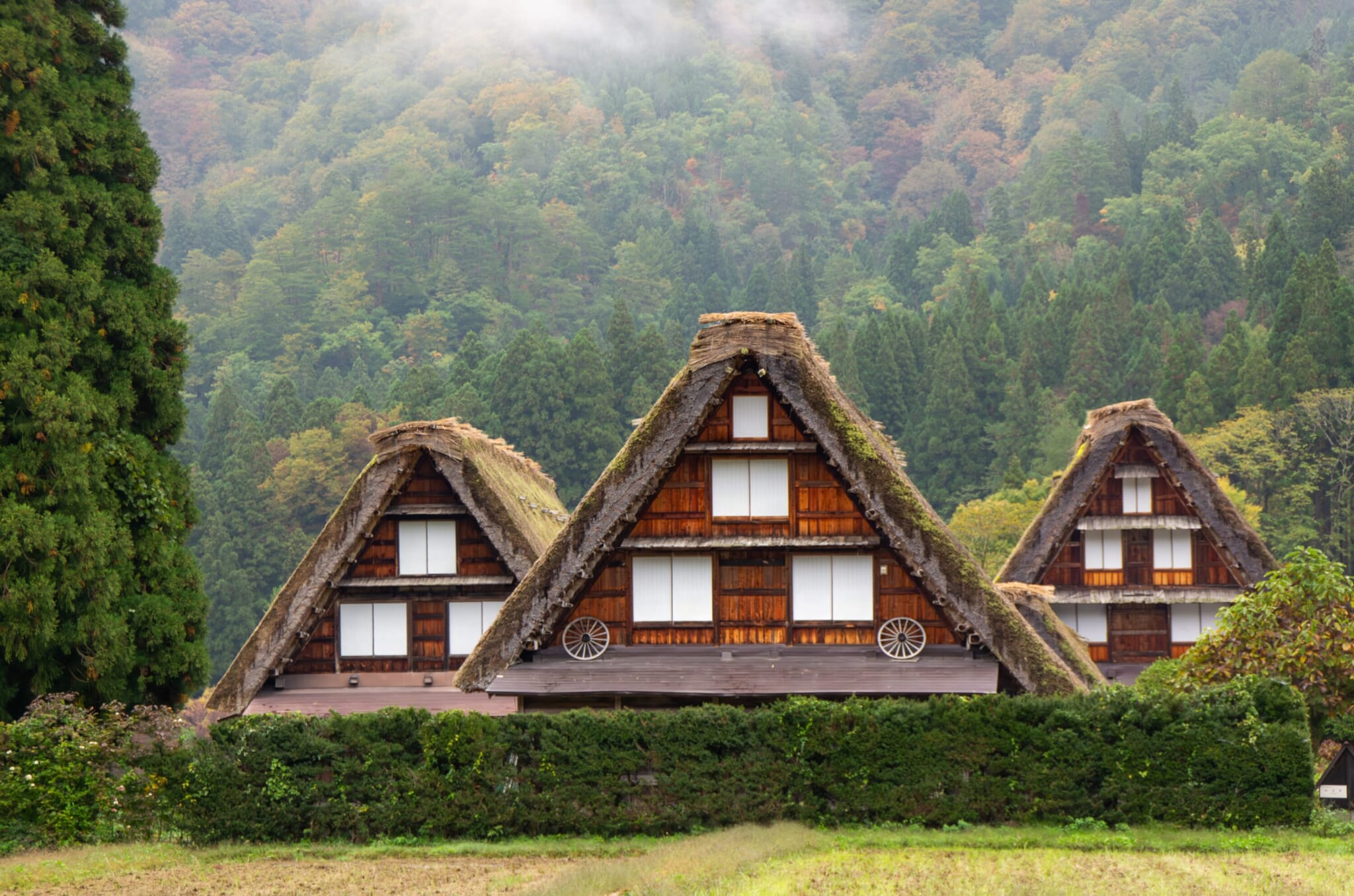 ogimachi shirakawago gassho