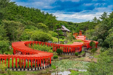 takayama inari shrine summer