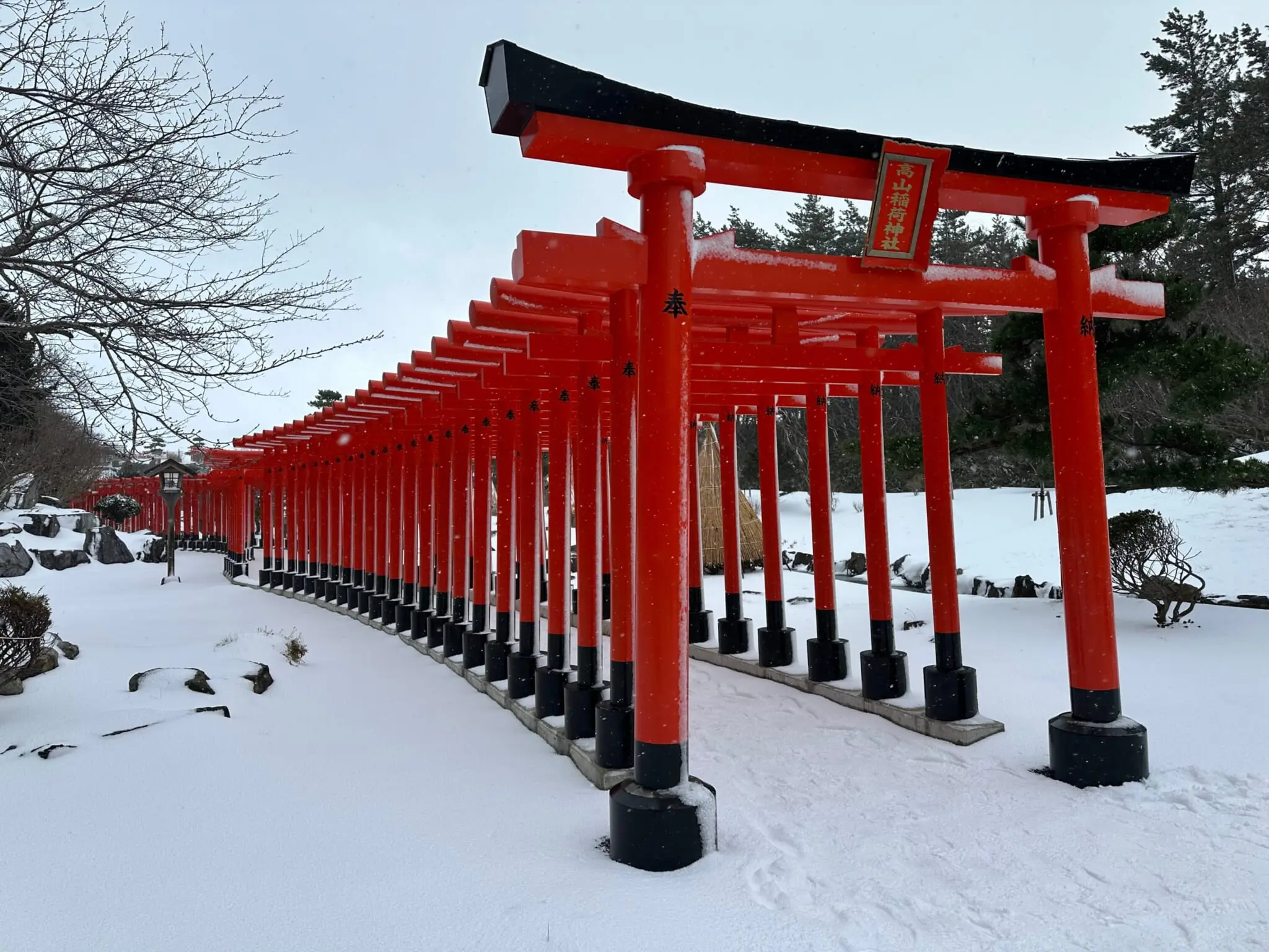 takayama inari shrine in the winter