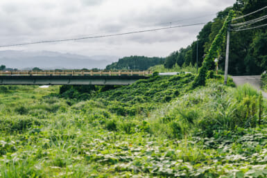 fukushima footpath