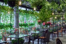 best cafes in aoyama flower market