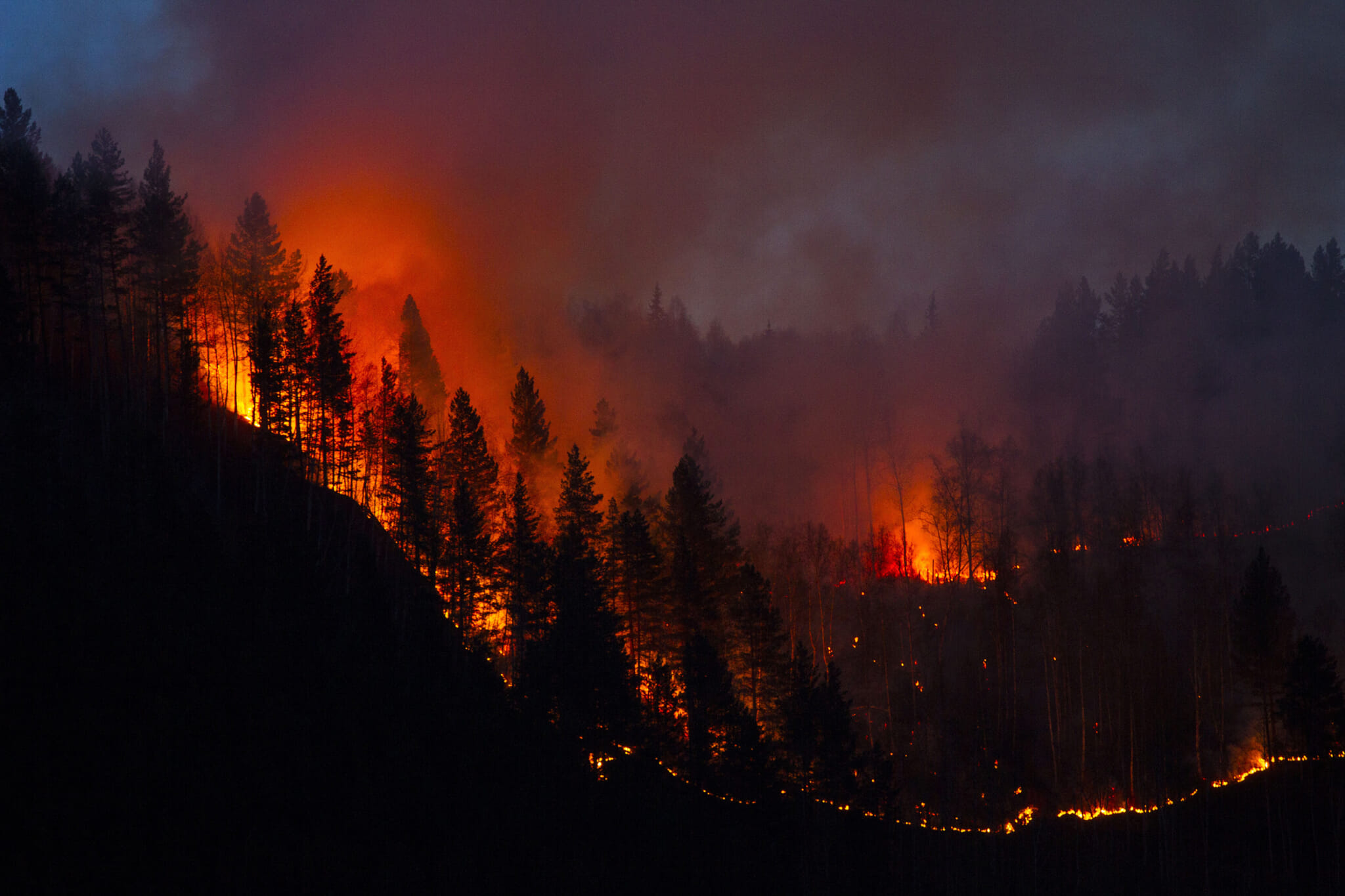 forest fire iwate