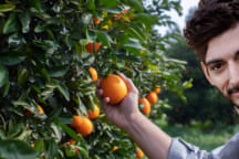 ice poseidon orange japan