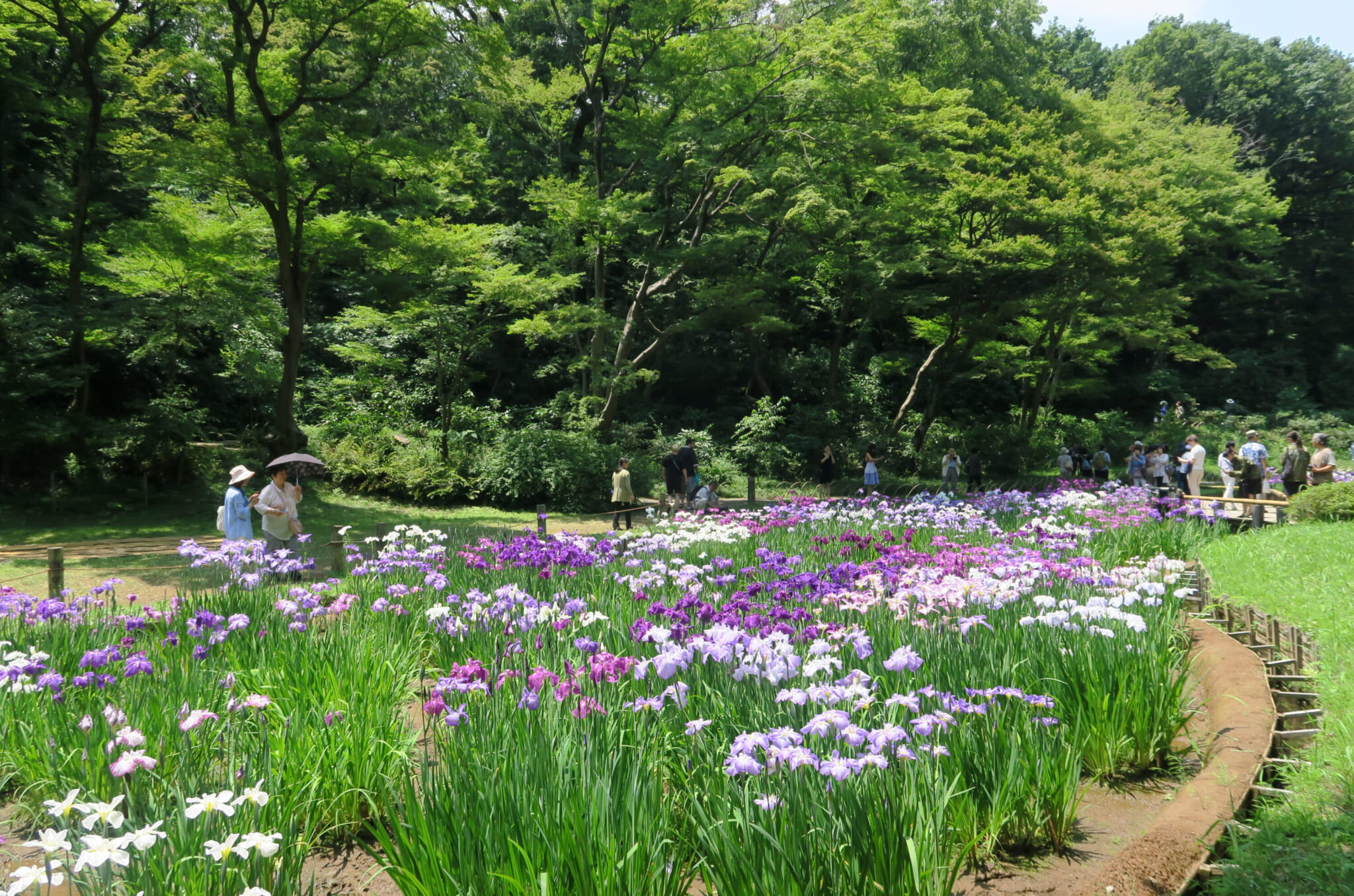 meiji jingu gyoen inner gardens