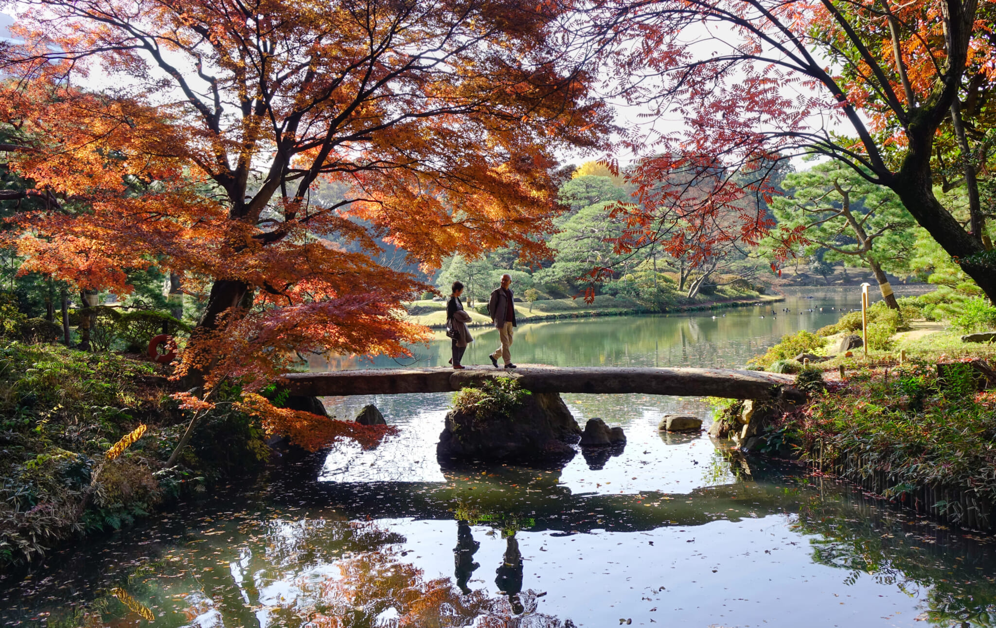 rikugien gardens