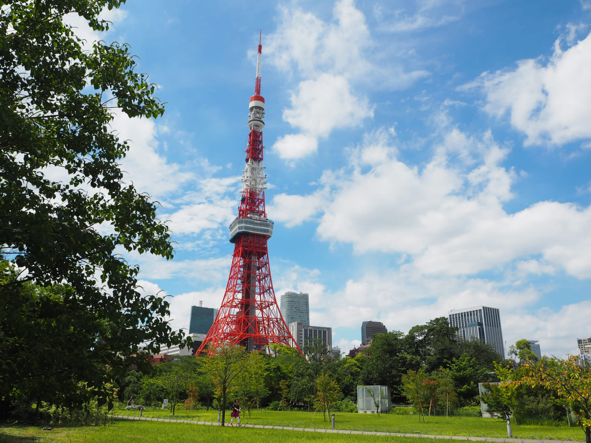 tokyo tower shiba park proposal spots tokyo