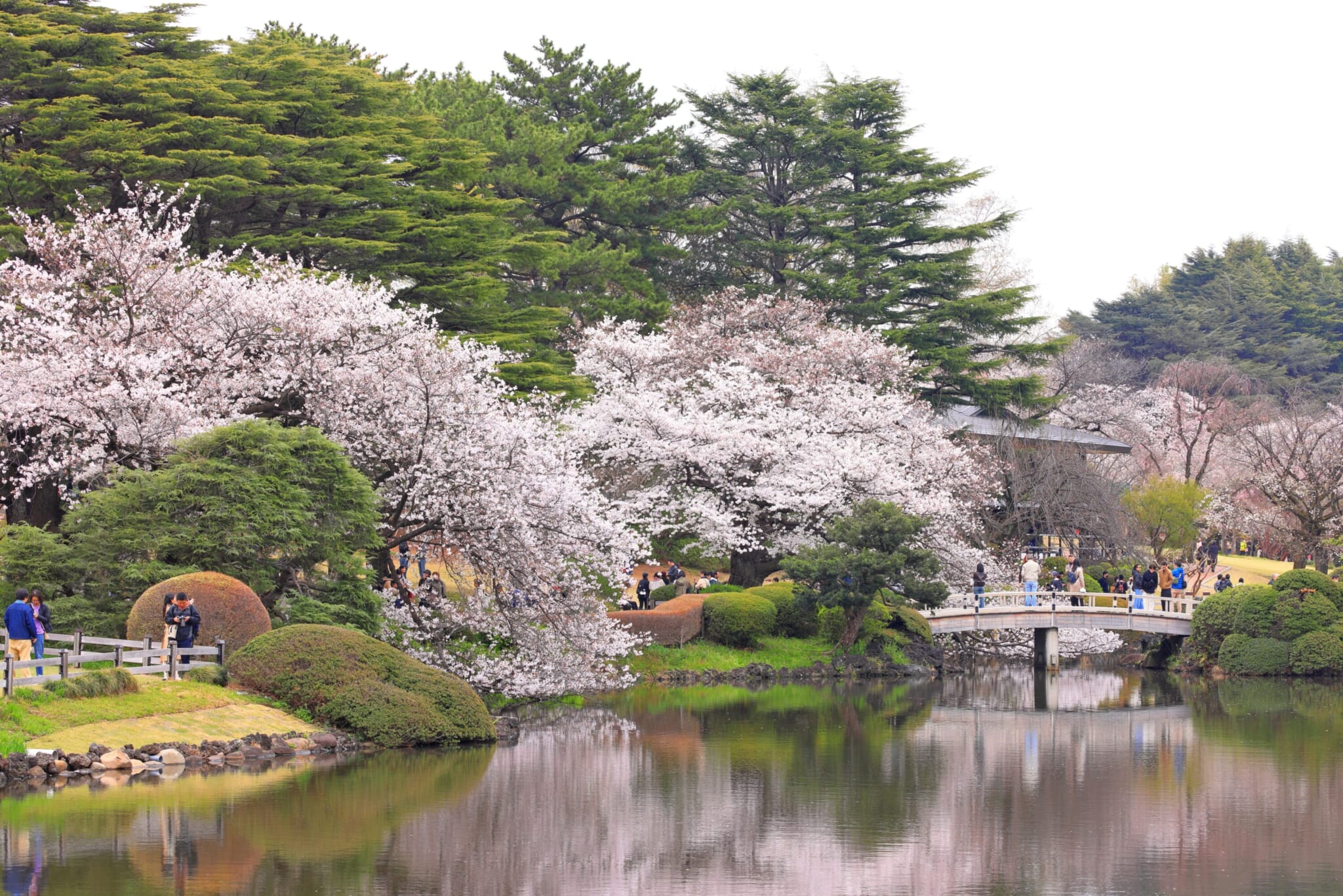 shinjuku gyoen tokyo proposal spots