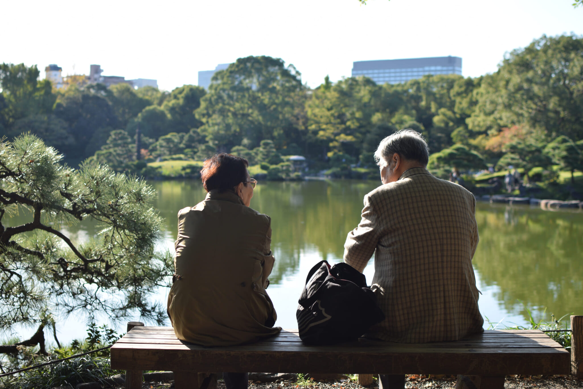 kiyosumi gardens