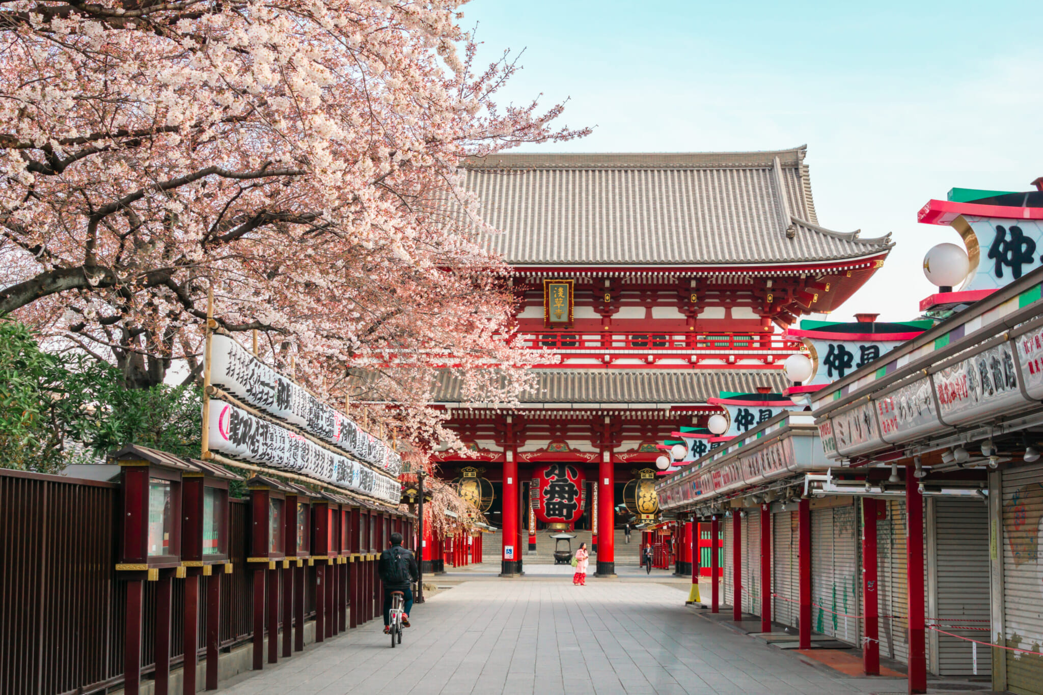 best things to do in tokyo March 2025