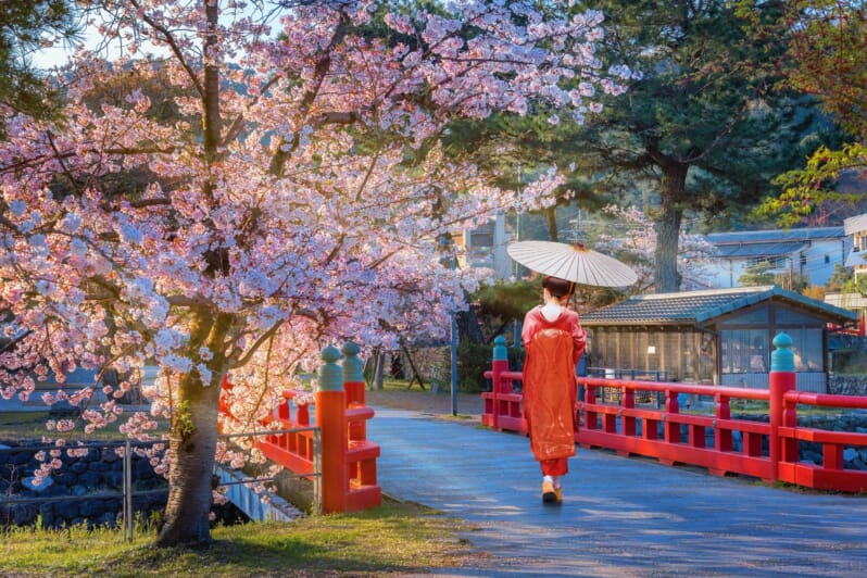 uji prefectural park spring