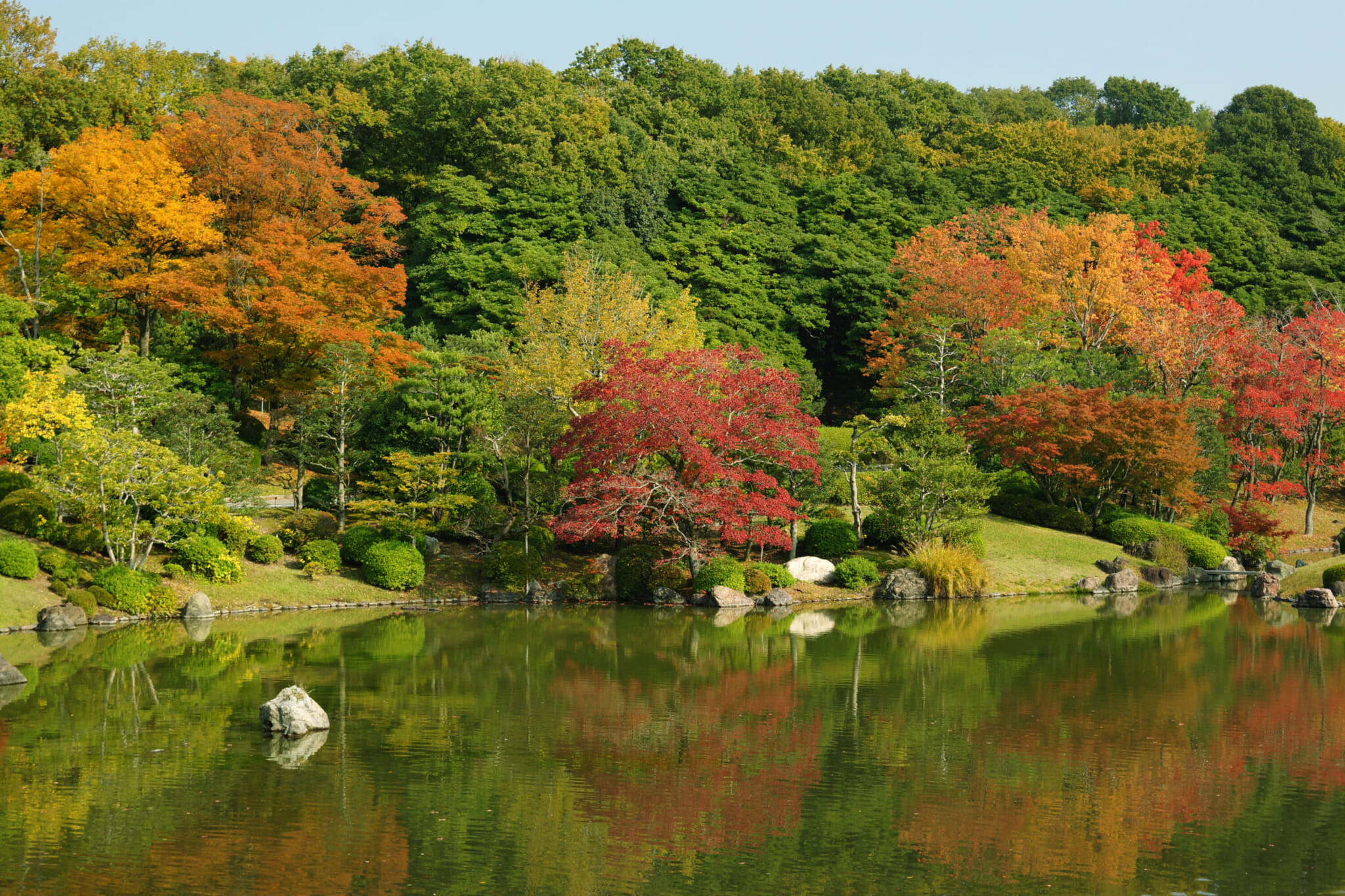 Osaka Expo forest