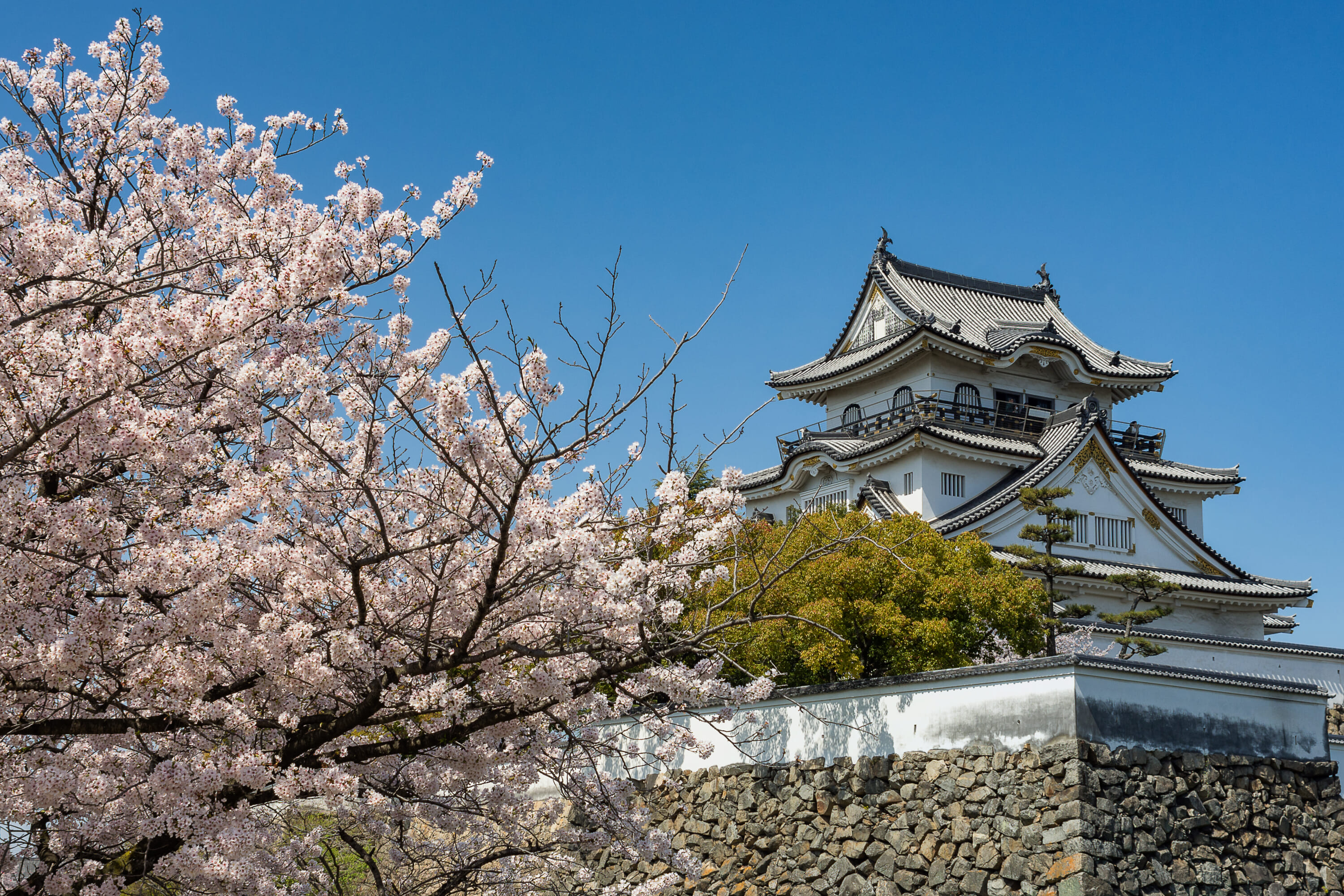 kishiwada castle park Osaka cherry blossom spots