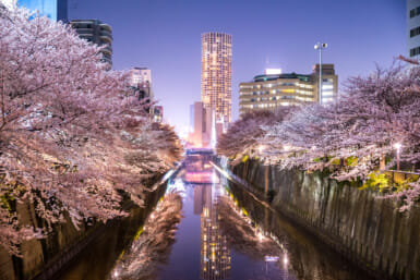 best things to do in japan in march