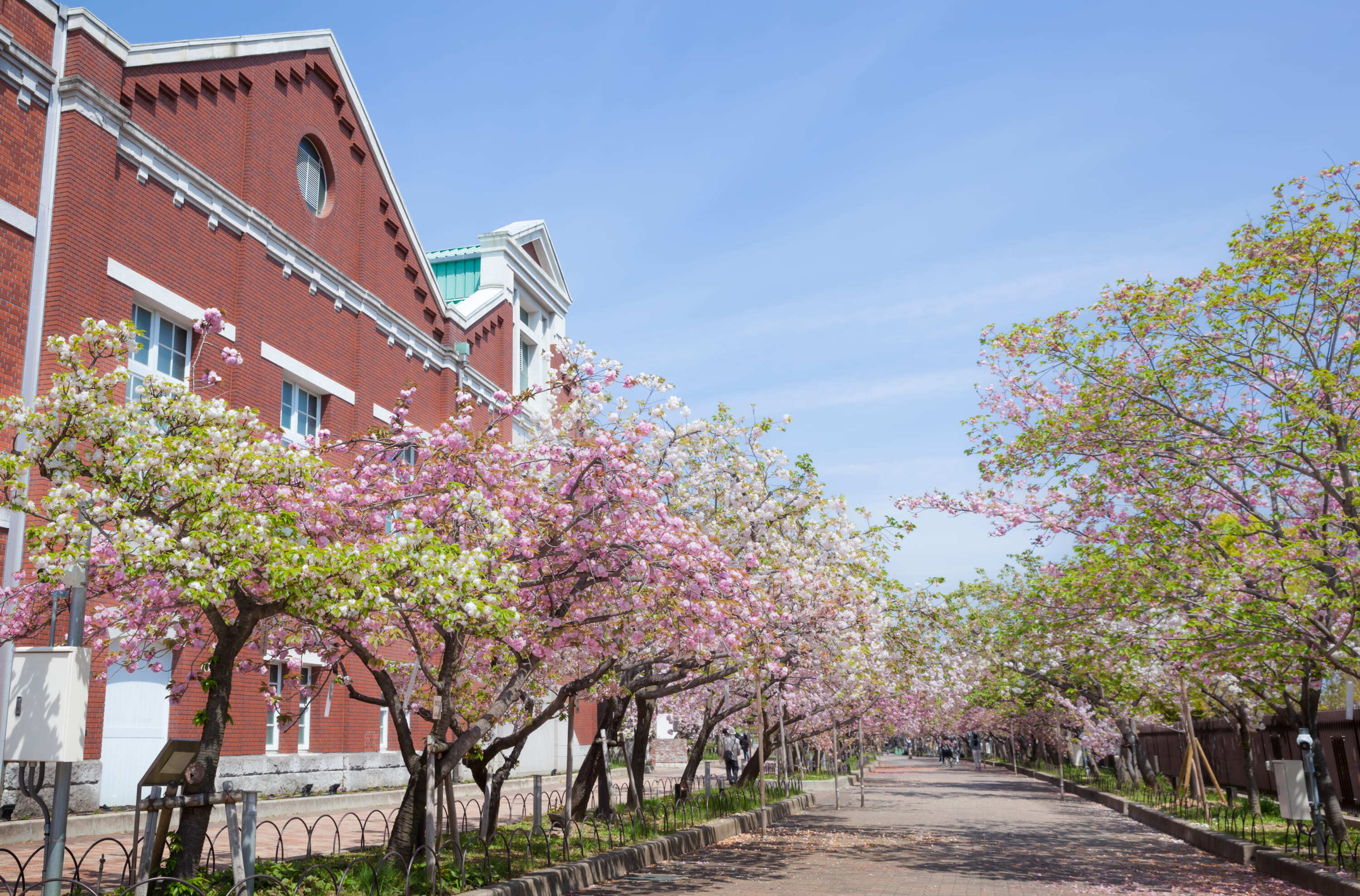 Mint office osaka sakura