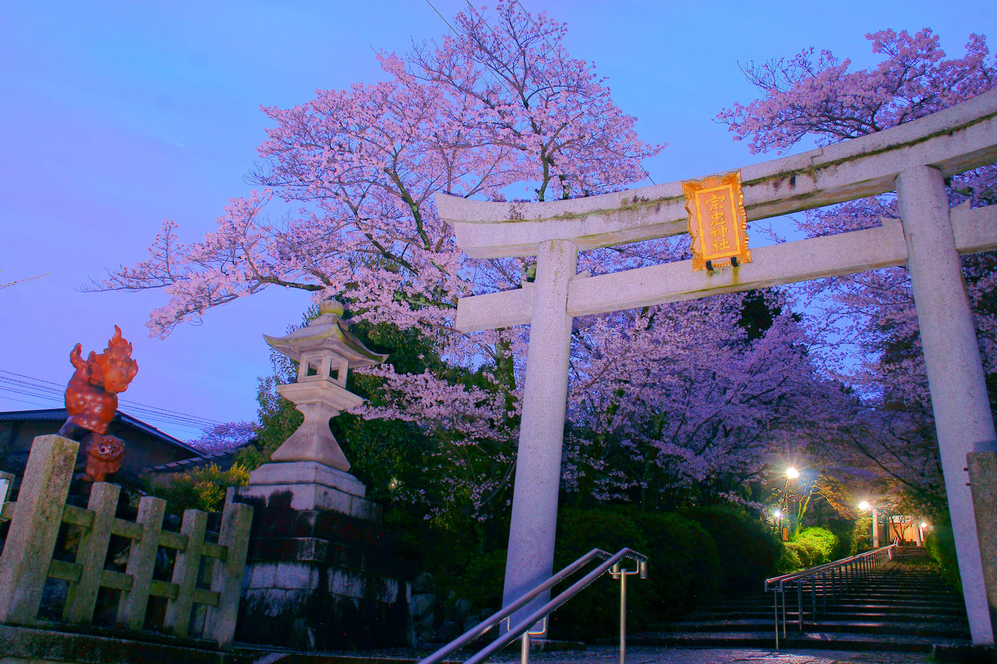 munetada shrine cherry blossoms kyoto