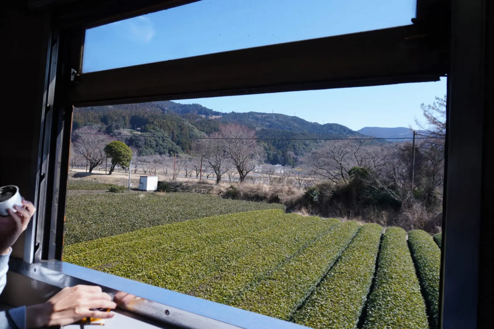Steam train journey on a kawane trip through tea fields