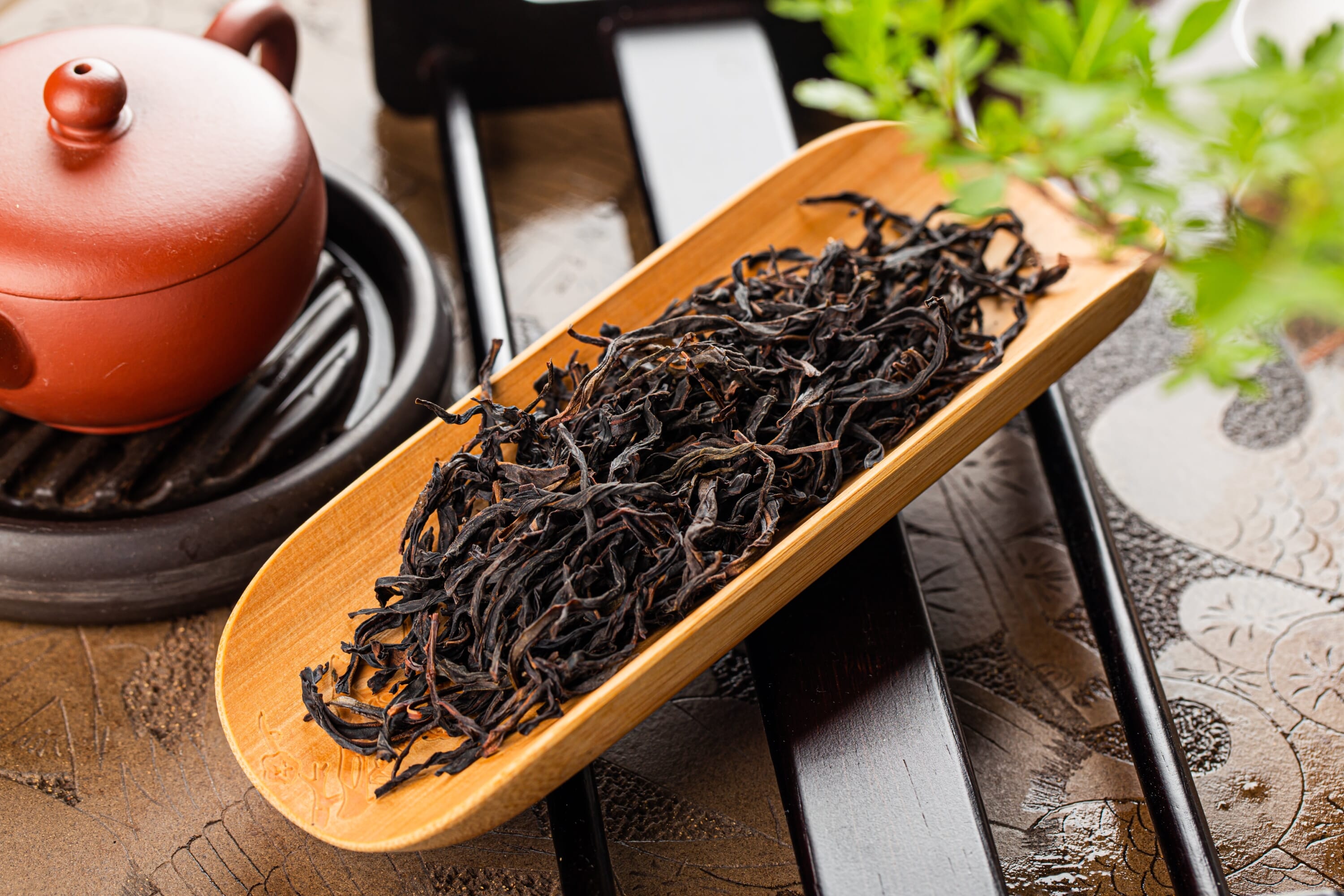 oolong tea types of Japanese tea