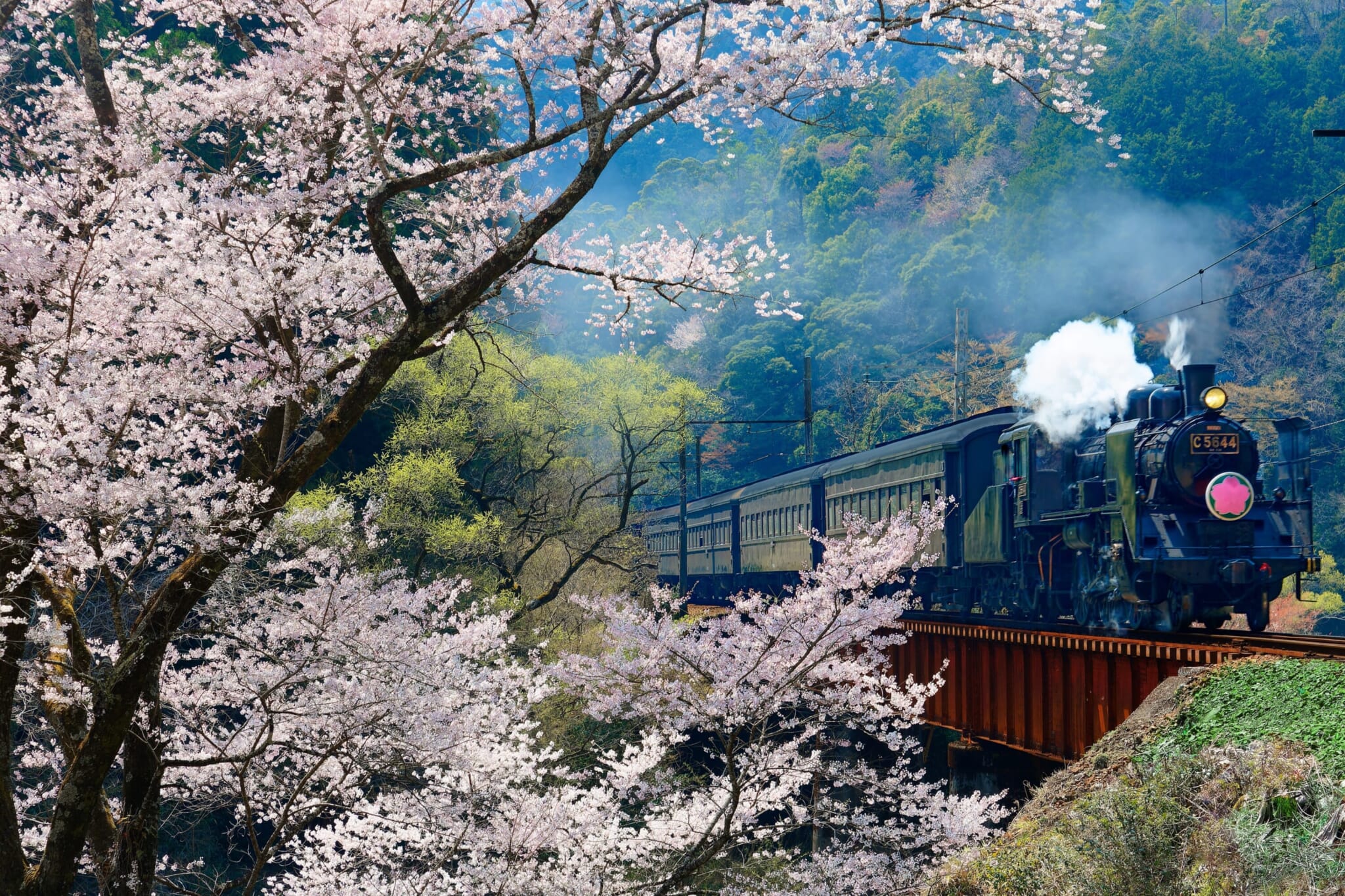 Steam train journey on a kawane trip through tea fields