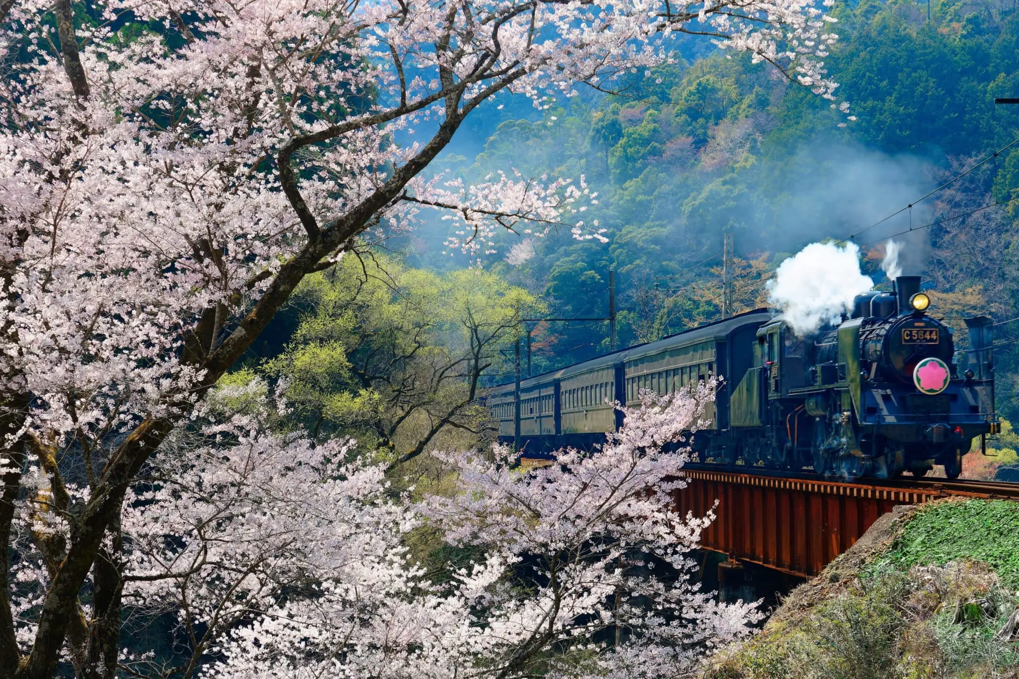 Steam train journey on a kawane trip through tea fields